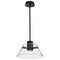 Nuvo Edmond, 14 Inch LED Pendant, Matte Black with Clear Glass 62/2061 - alternate 1